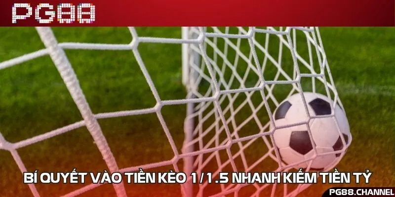 Kinh nghiệm cược từ những người chơi lâu năm