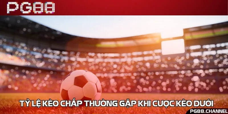 Tổng hợp top 4 tỷ lệ cược hấp dẫn nhất tại nhà cái 